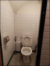 Toilet 166a